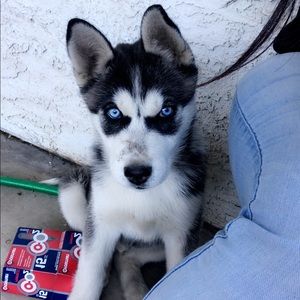 Meet your Posher, Sara